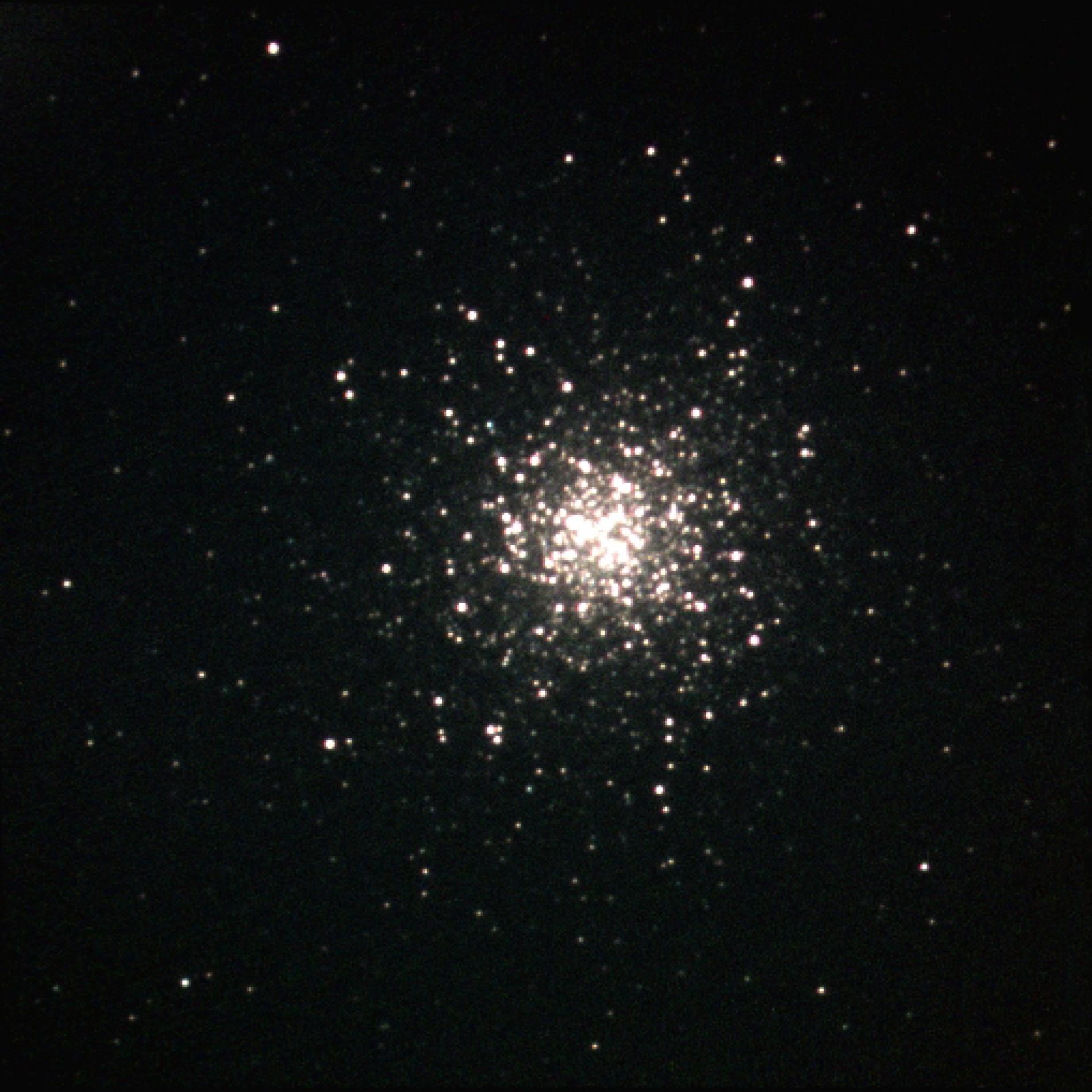 M13