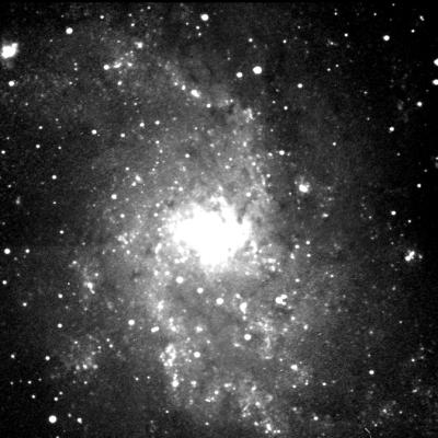 M33