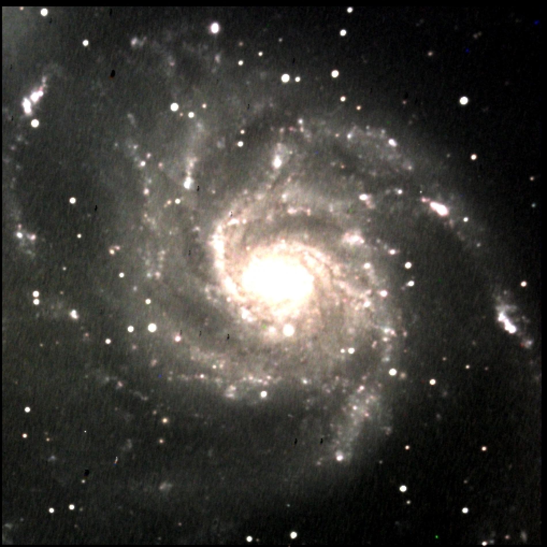M101