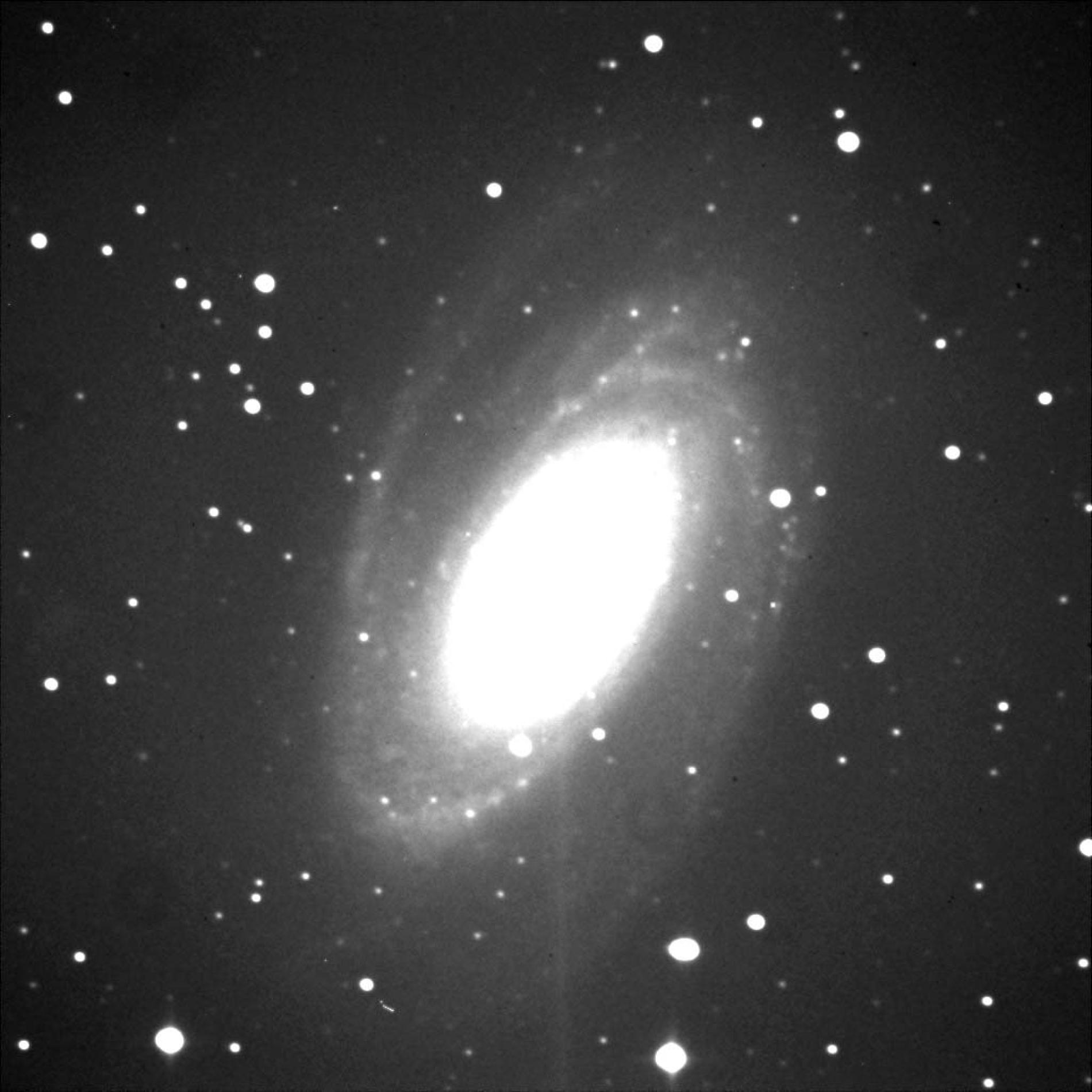 M81
